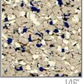 Earth Tones ColorFlakes™ - 40lbs (18kg) Box
