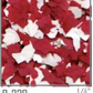 Insignia ColorFlakes™ - 40lbs Box