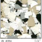 Commercial ColorFlakes™ - 40lbs (18kg) and 25lbs (11.34kg) Box