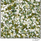 Sophisticated ColorFlakes™ - 40lbs Box